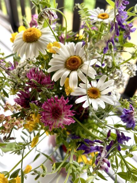 Blomma
